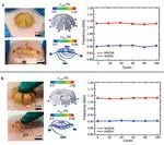 High Performance, Tunable Electrically Small Antennas through Mechanically Guided 3D Assembly