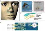 Skin-Like Hybrid Integrated Circuits Conformal to Face for Continuous Respiratory Monitoring